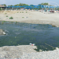 фото из отзыва ID 1242272