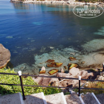 фото из отзыва ID 1242405