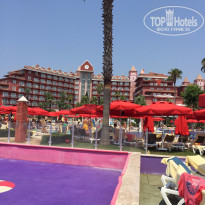 фото из отзыва ID 1242458