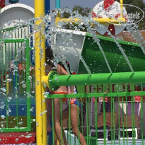 фото из отзыва ID 1242458