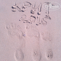 фото из отзыва ID 1242521