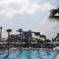 фото из отзыва ID 1242394