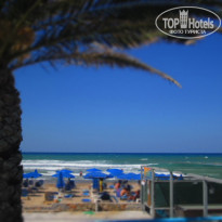 фото из отзыва ID 1242726