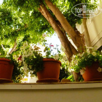 фото из отзыва ID 1243153