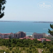 фото из отзыва ID 1243350