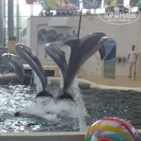 фото из отзыва ID 1243350