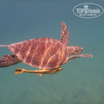 фото из отзыва ID 1243530