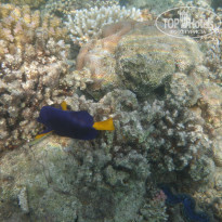 фото из отзыва ID 1243530