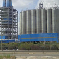 фото из отзыва ID 1243555