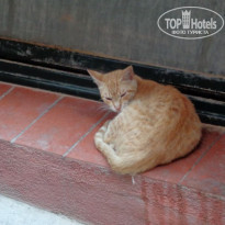 фото из отзыва ID 1243555