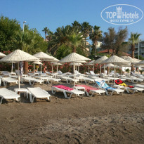 фото из отзыва ID 1243152