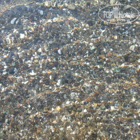 фото из отзыва ID 1243152