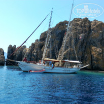 фото из отзыва ID 1243152