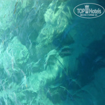 фото из отзыва ID 1243152