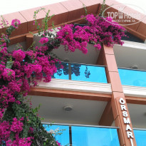 фото из отзыва ID 1243152