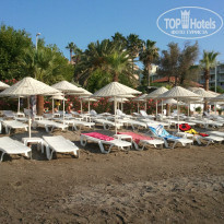 фото из отзыва ID 1243152