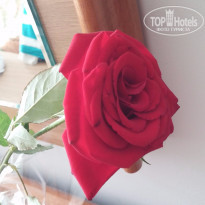 фото из отзыва ID 1243607