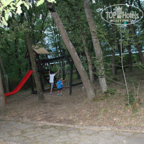 фото из отзыва ID 1241060