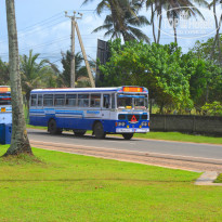 фото из отзыва ID 1241151