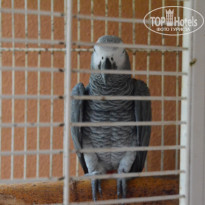 фото из отзыва ID 1244250