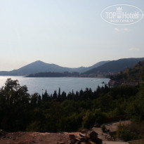 фото из отзыва ID 1244259