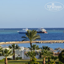 фото из отзыва ID 1244462