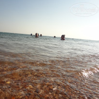 фото из отзыва ID 1244504