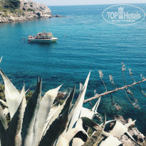 фото из отзыва ID 1244585