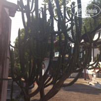 фото из отзыва ID 1244596