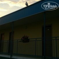 фото из отзыва ID 1244811