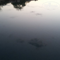 фото из отзыва ID 1244833