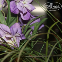 фото из отзыва ID 1244908