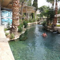 фото из отзыва ID 1244955