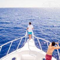 фото из отзыва ID 1245053