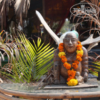 фото из отзыва ID 1245068