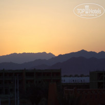 фото из отзыва ID 1245192