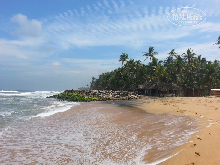 Hotelier's photos Oceanic Beach Residency 1*