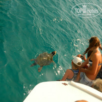 фото из отзыва ID 1245278