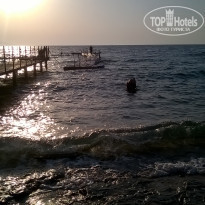 фото из отзыва ID 1245296