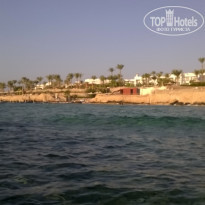 фото из отзыва ID 1245296