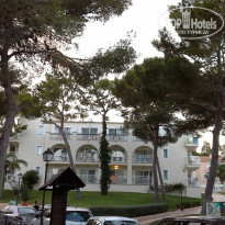 фото из отзыва ID 1245317