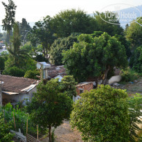 фото из отзыва ID 1245291