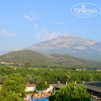 фото из отзыва ID 1245291