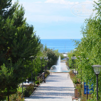 фото из отзыва ID 1245400