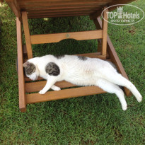 фото из отзыва ID 1245476