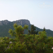 фото из отзыва ID 1245478