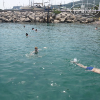 фото из отзыва ID 1245478