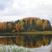 фото из отзыва ID 1245460