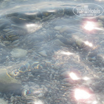 фото из отзыва ID 1245583