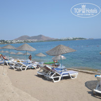 фото из отзыва ID 1245687